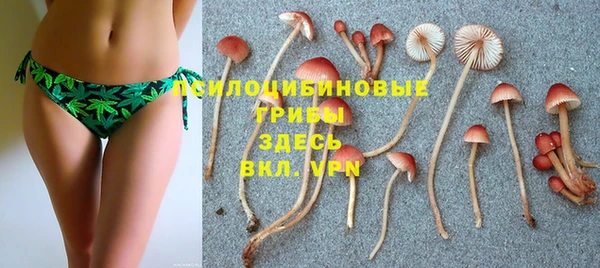 кристаллы Заволжье