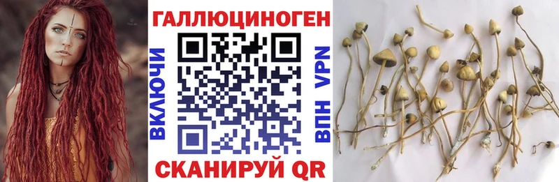 Галлюциногенные грибы ЛСД  Бузулук 